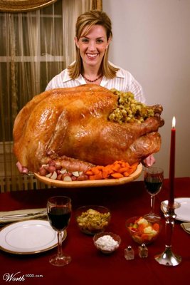 turkey_dinner.jpg